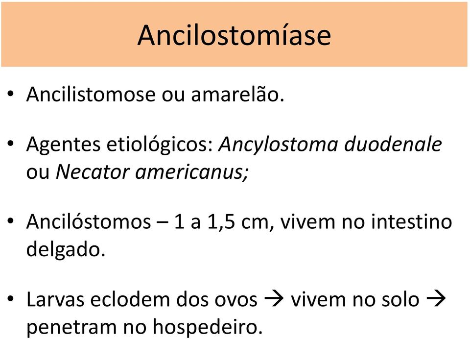 americanus; Ancilóstomos 1 a 1,5 cm, vivem no intestino