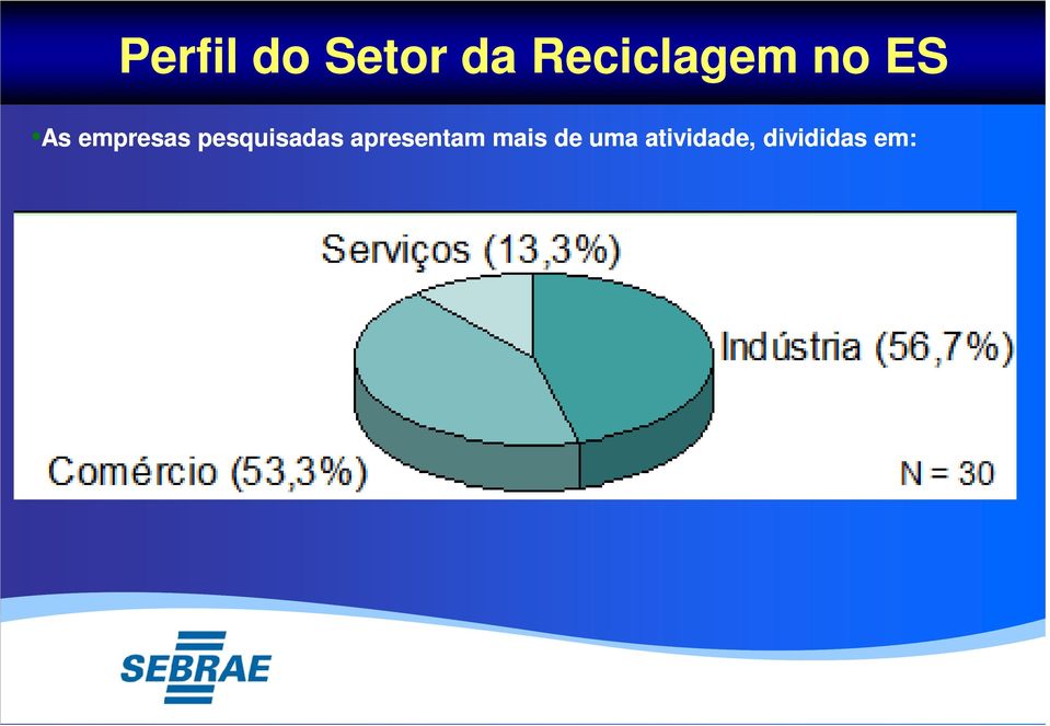 empresas pesquisadas