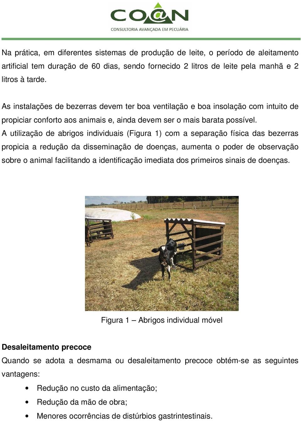 A utilização de abrigos individuais (Figura 1) com a separação física das bezerras propicia a redução da disseminação de doenças, aumenta o poder de observação sobre o animal facilitando a