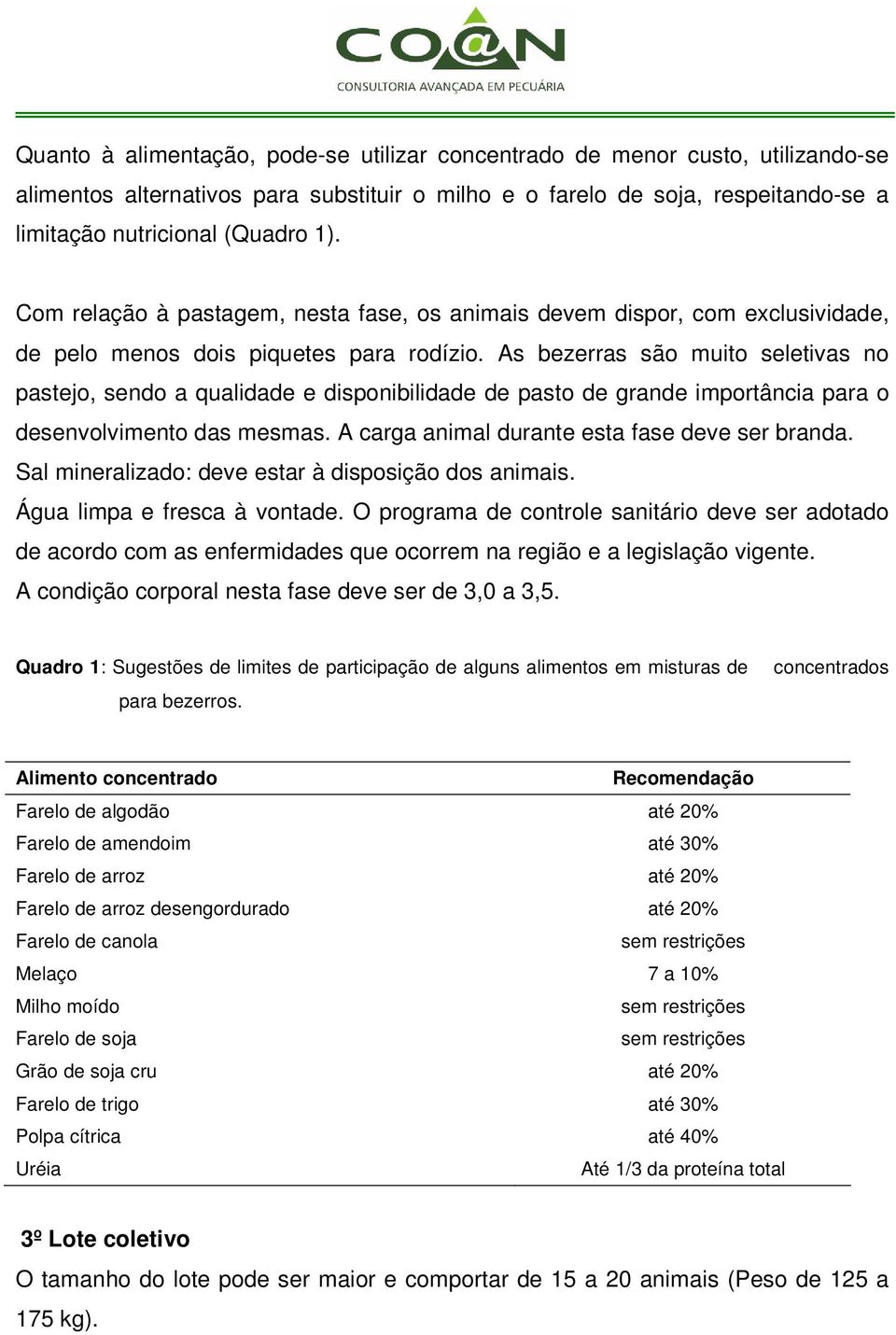 As bezerras são muito seletivas no pastejo, sendo a qualidade e disponibilidade de pasto de grande importância para o desenvolvimento das mesmas. A carga animal durante esta fase deve ser branda.