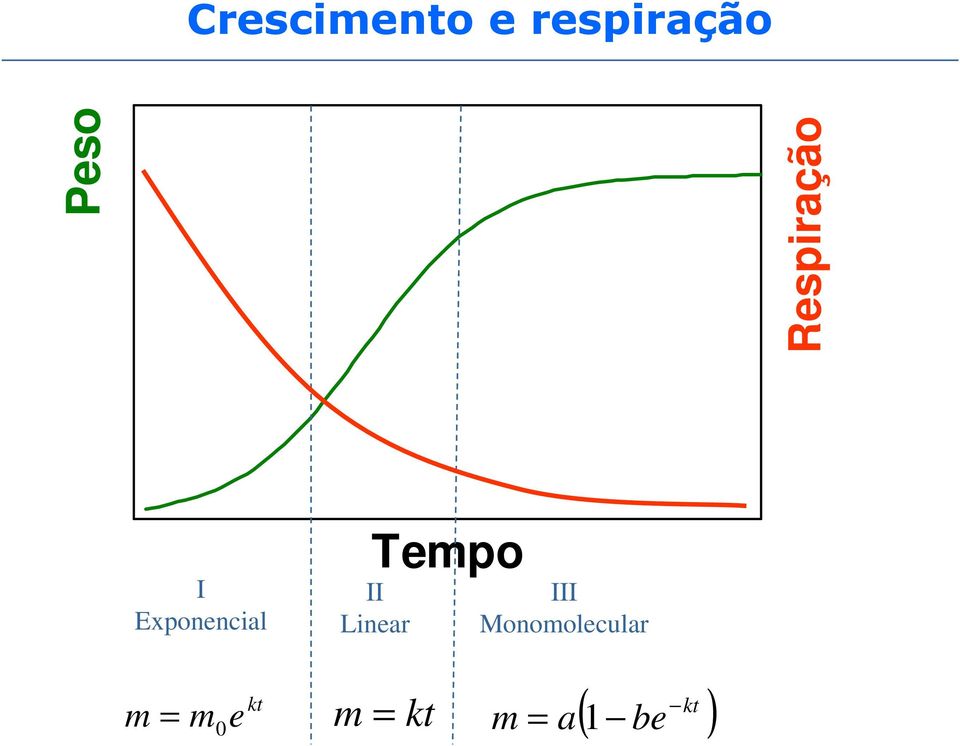 Tempo II Linear III Monomolecular