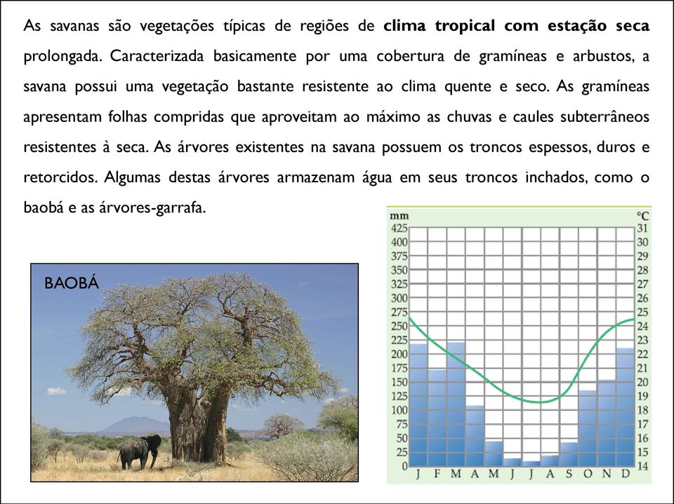 e seco. As gramíneas apresentam folhas compridas que aproveitam ao máximo as chuvas e caules subterrâneos resistentes à seca.