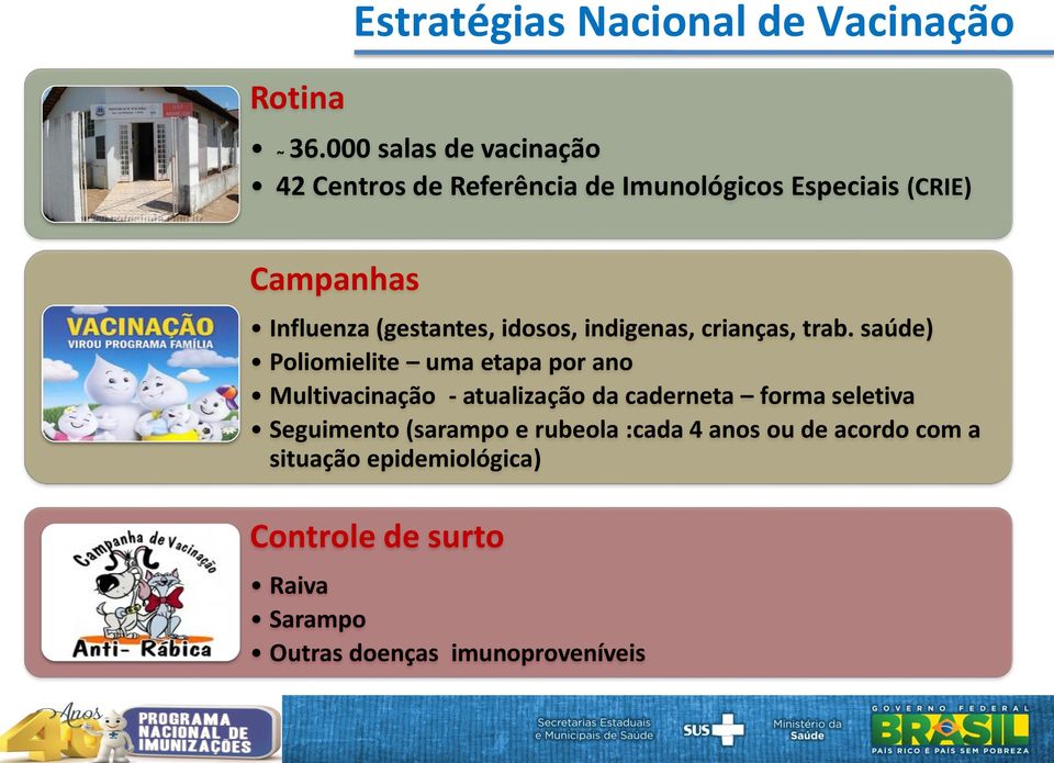 Nacional de Vacinação Influenza (gestantes, idosos, indigenas, crianças, trab.