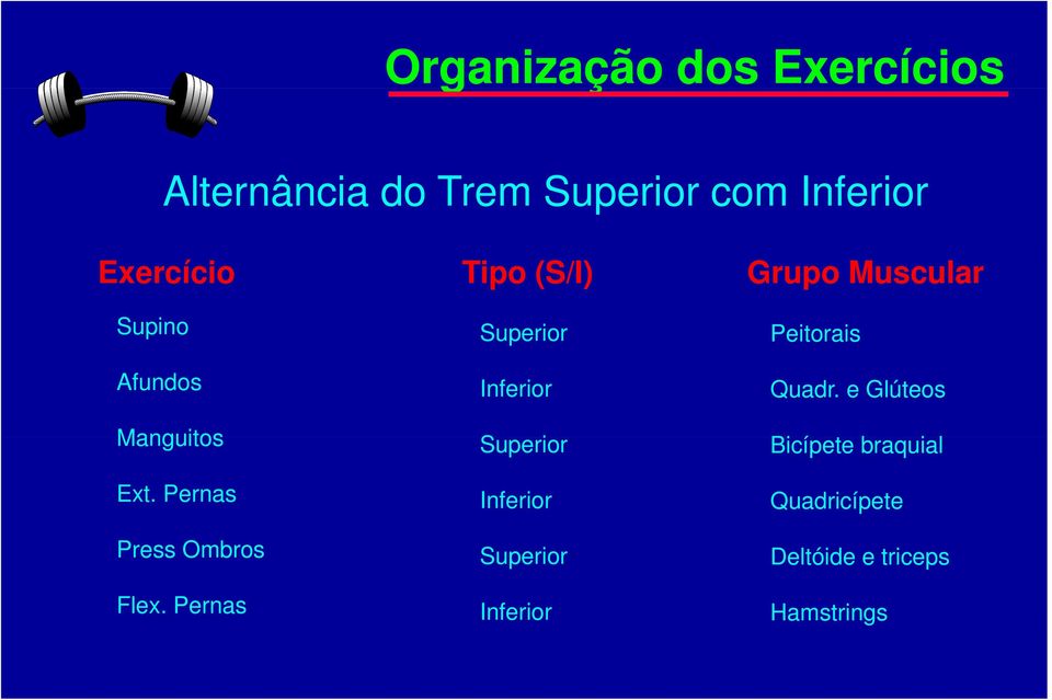 Peitorais Quadr. e Glúteos Manguitos Superior Bicípete braquial Ext.