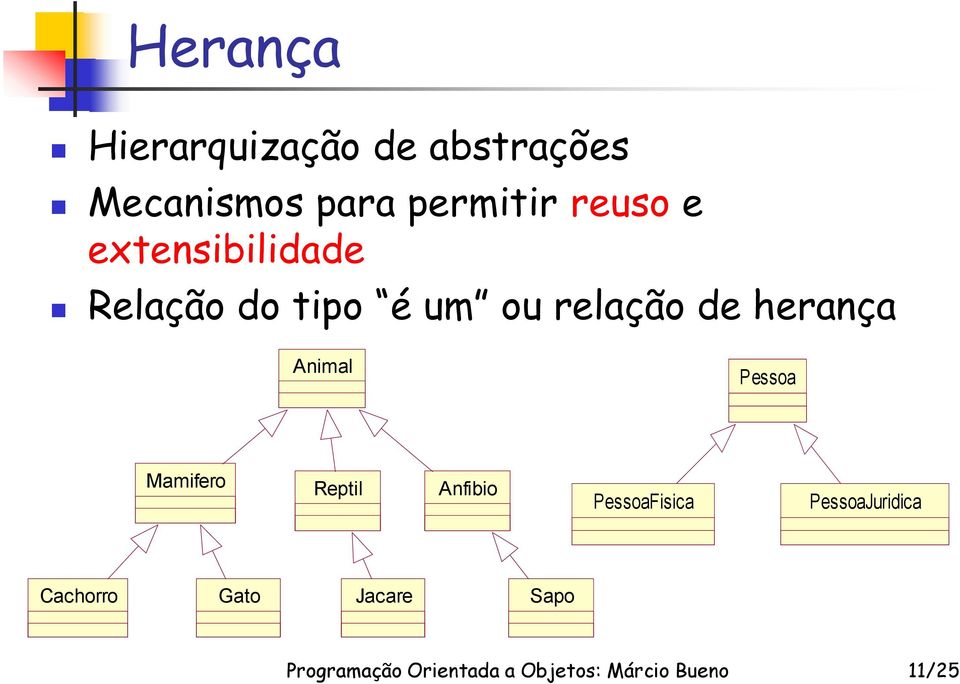 relação de herança Animal Pessoa Mamifero Reptil Anfibio