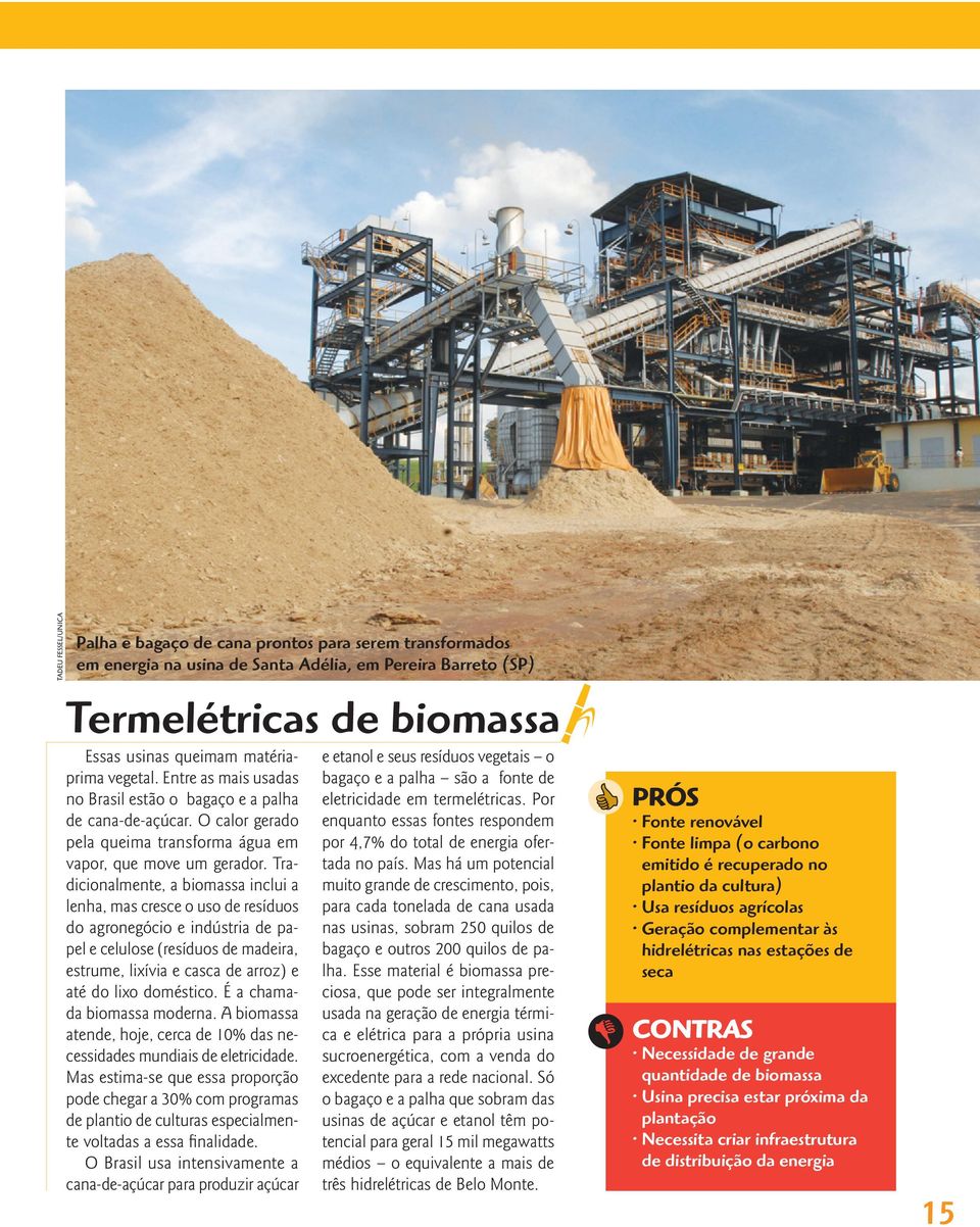 Tradicionalmente, a biomassa inclui a lenha, mas cresce o uso de resíduos do agronegócio e indústria de papel e celulose (resíduos de madeira, estrume, lixívia e casca de arroz) e até do lixo