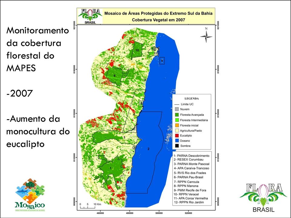 do MAPES -2007