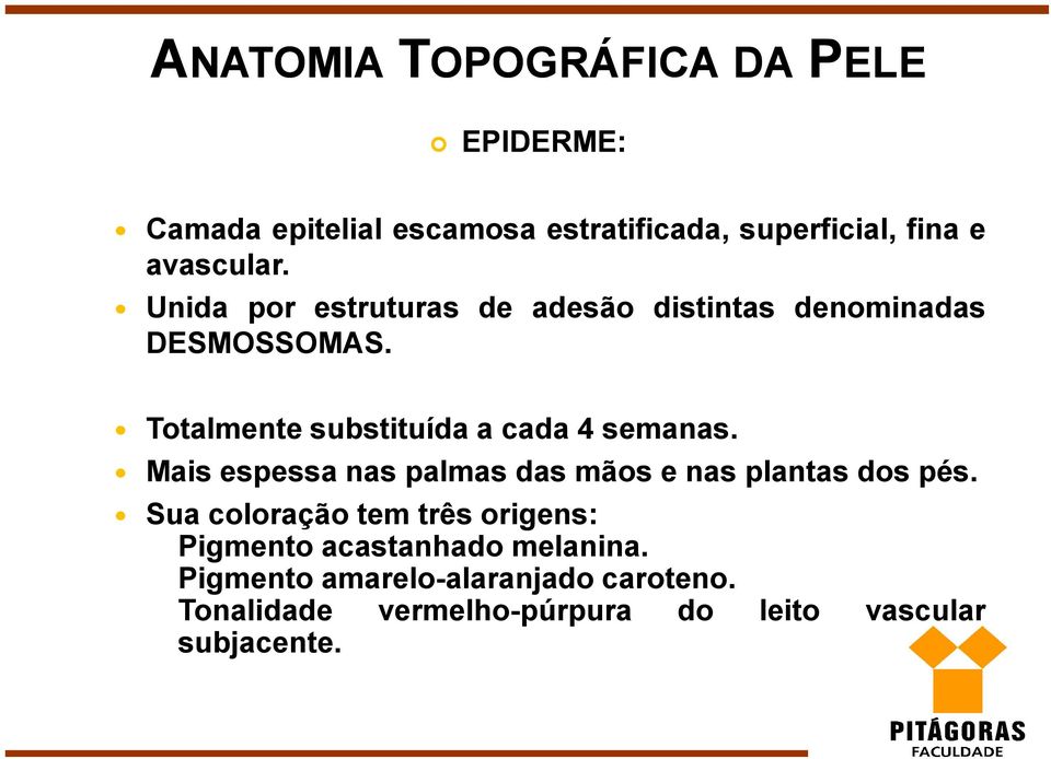 Totalmente substituída a cada 4 semanas. Mais espessa nas palmas das mãos e nas plantas dos pés.