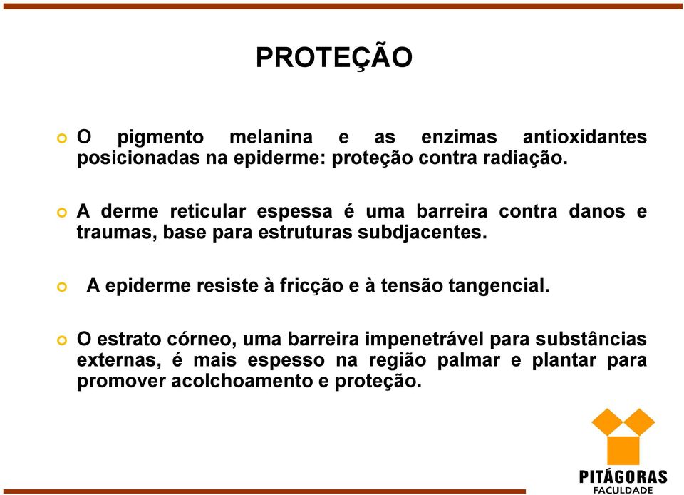 A derme reticular espessa é uma barreira contra danos e traumas, base para estruturas subdjacentes.