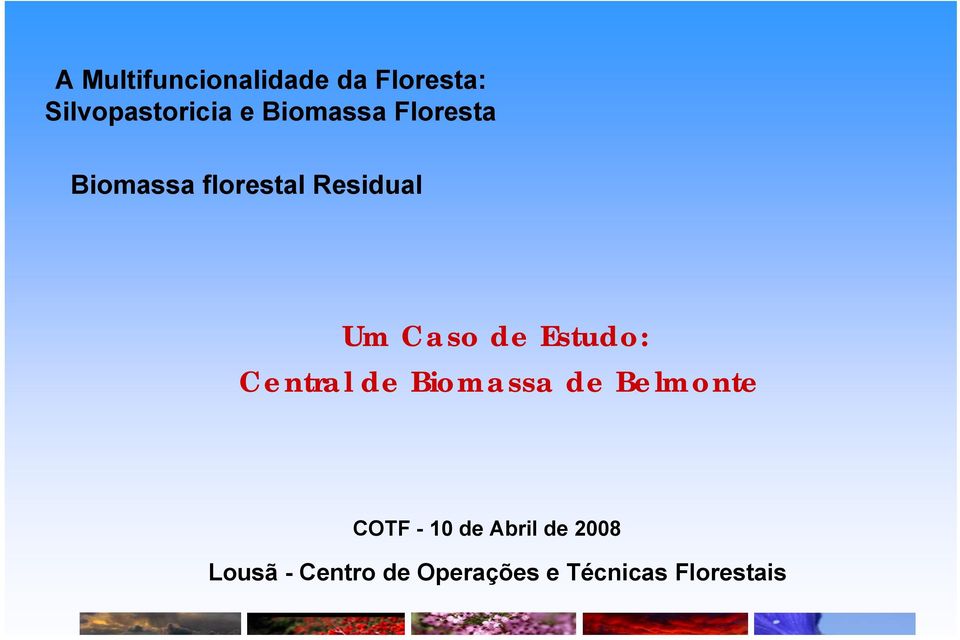 Estudo: Central de Biomassa de Belmonte COTF - 10 de