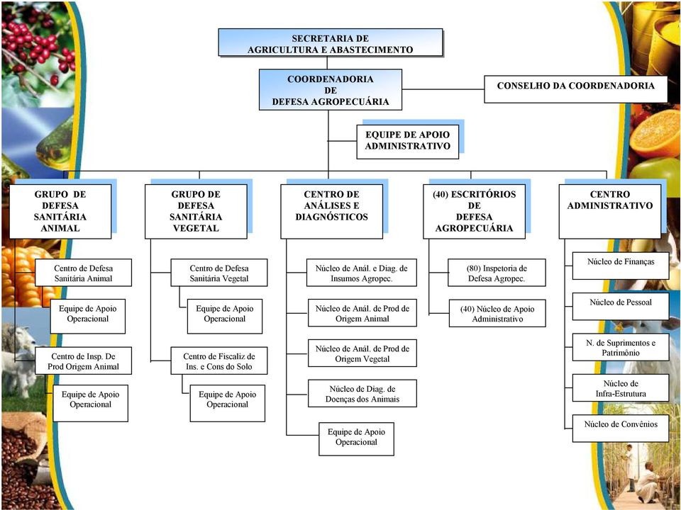 ESCRITÓRIOS DE DE DEFESA DEFESA AGROPECUÁRIA AGROPECUÁRIA CENTRO CENTRO ADMINISTRATIVO ADMINISTRATIVO Centro de Defesa Sanitária Animal Centro de Defesa Sanitária Vegetal Núcleo de Anál. e Diag.