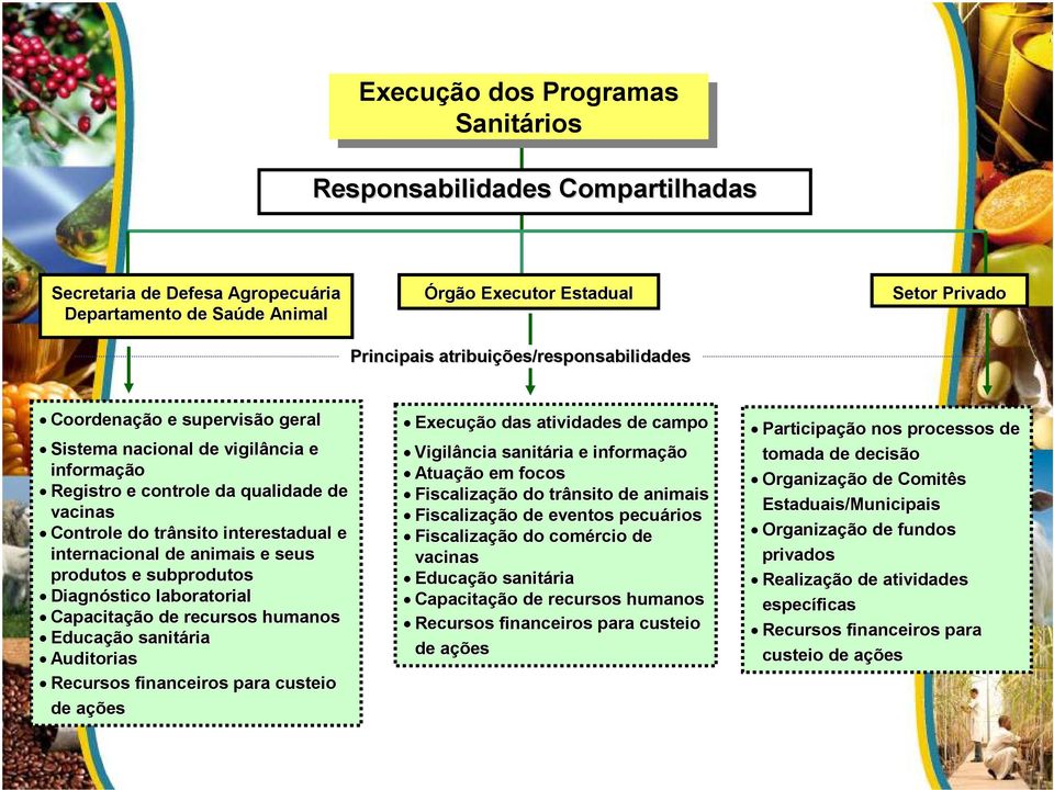 internacional de animais e seus produtos e subprodutos Diagnóstico laboratorial Capacitação de recursos humanos Educação sanitária Auditorias Recursos financeiros para custeio de açõesa Execução das