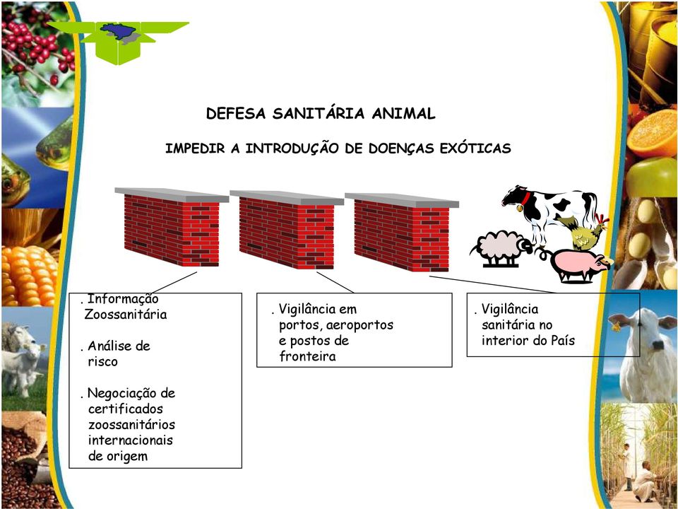 Negociação de certificados zoossanitários internacionais de origem.