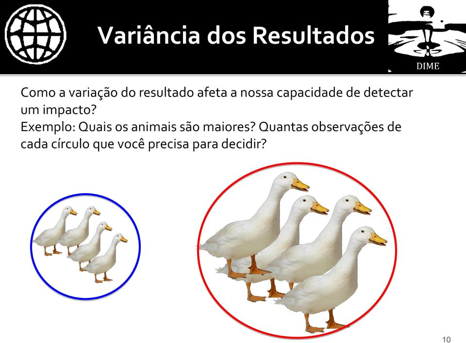 impacto? Exemplo: Quais os animais são maiores?