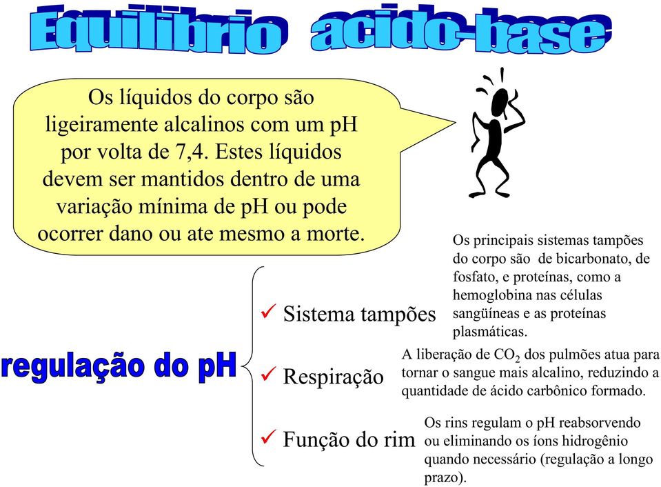 Sistema tampões Respiração Os principais sistemas tampões do corpo são de bicarbonato, de fosfato, e proteínas, como a hemoglobina nas células sangüíneas