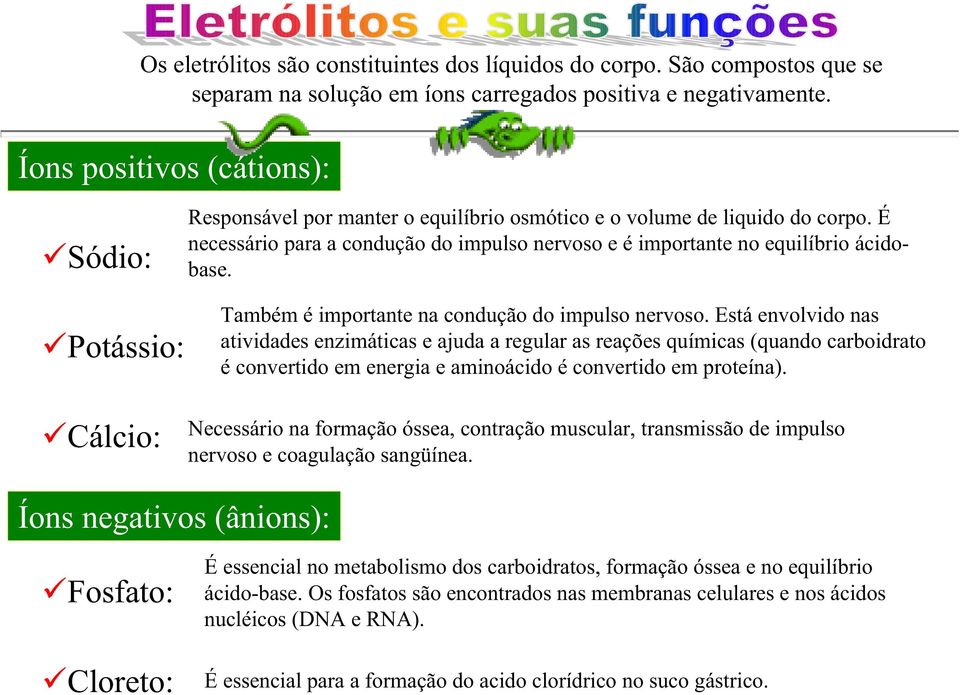 É necessário para a condução do impulso nervoso e é importante no equilíbrio ácidobase. Também é importante na condução do impulso nervoso.