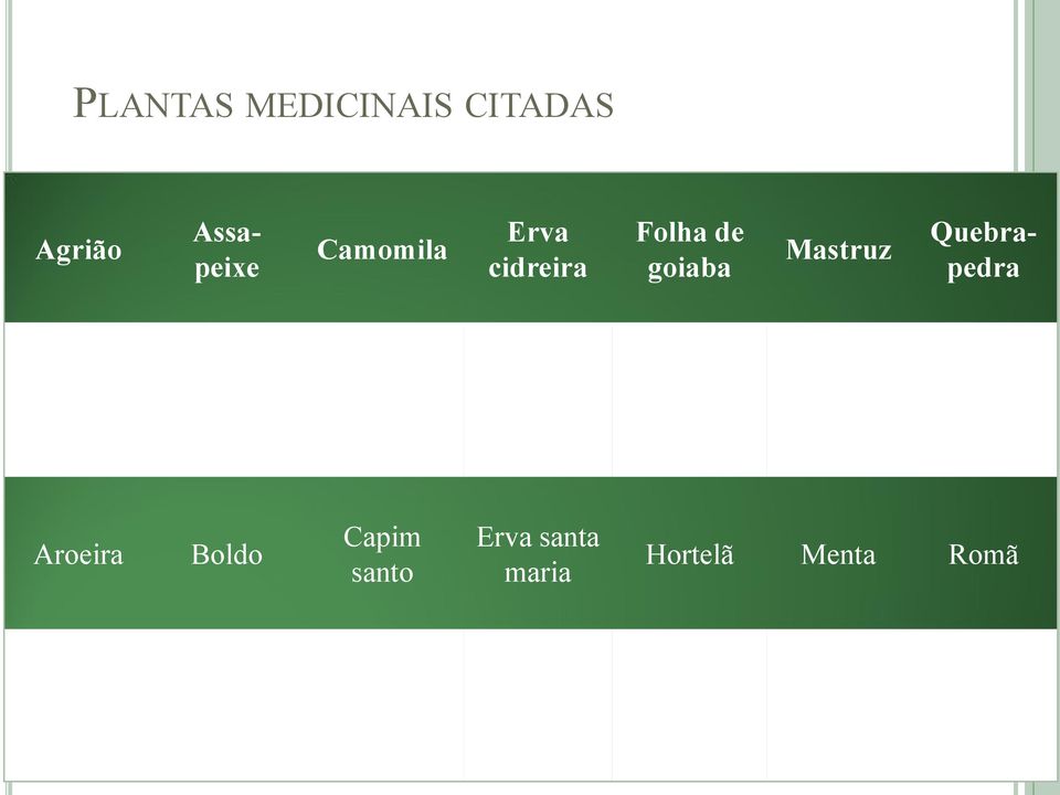 laranjeira Mata-pau Repolho Aroeira Boldo Capim santo Erva santa maria Hortelã