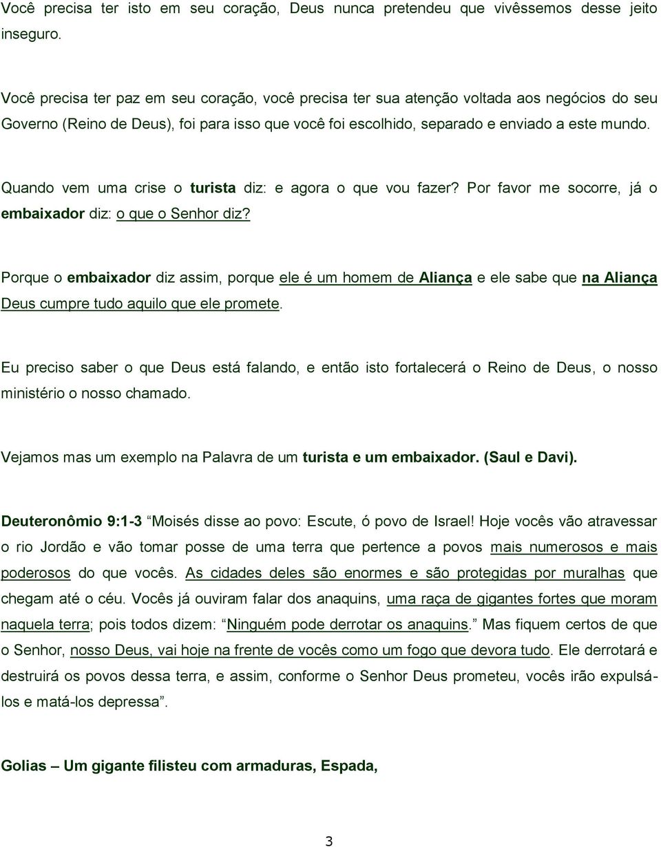 Quando vem uma crise o turista diz: e agora o que vou fazer? Por favor me socorre, já o embaixador diz: o que o Senhor diz?