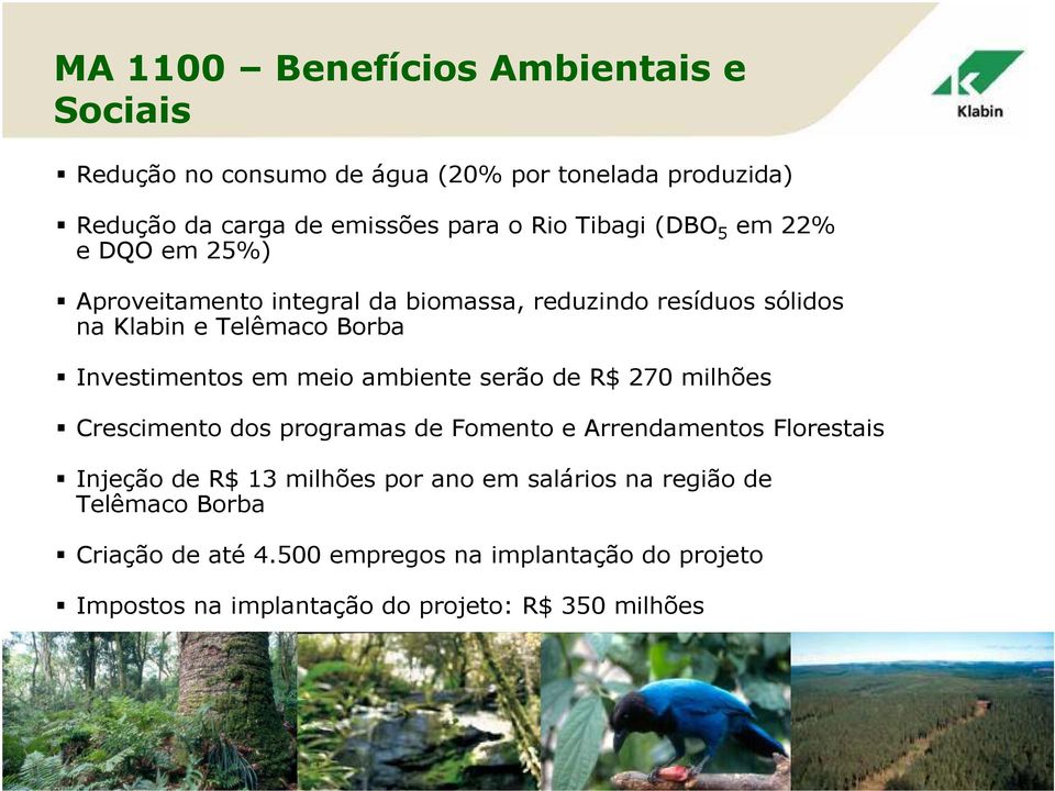 em meio ambiente serão de R$ 270 milhões Crescimento dos programas de Fomento e Arrendamentos Florestais Injeção de R$ 13 milhões por ano