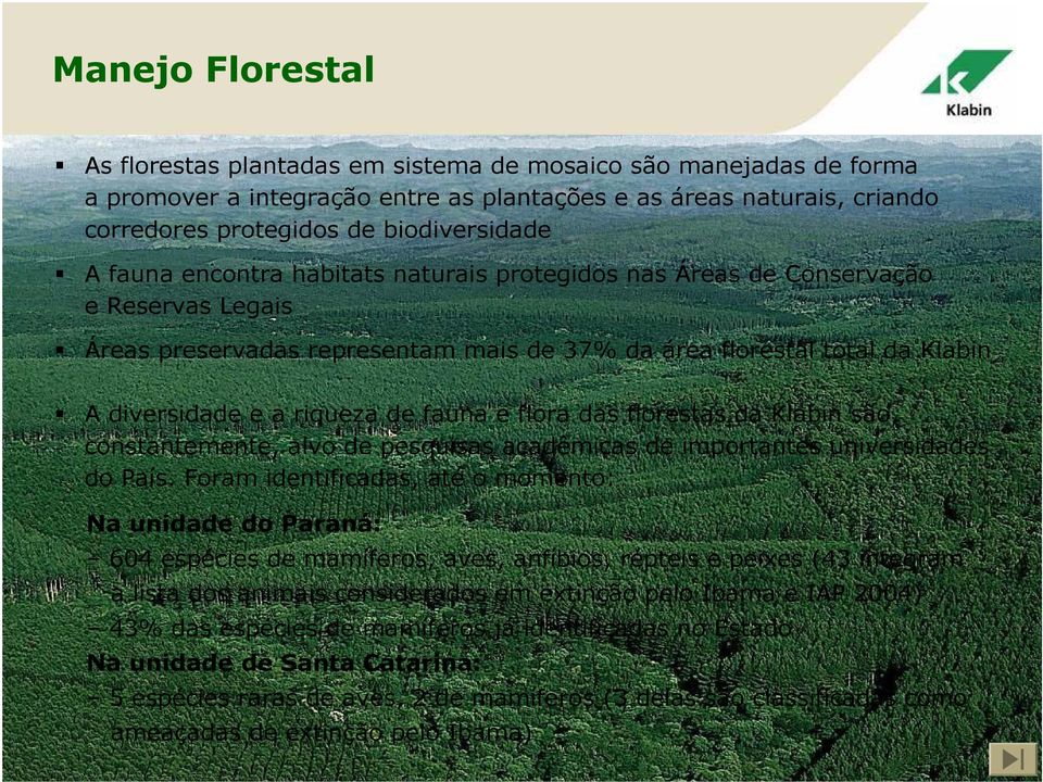 flora das florestas da Klabin são, constantemente, alvo de pesquisas acadêmicas de importantes universidades do País.