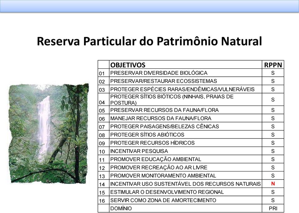 PROTEGER PAISAGENS/BELEZAS CÊNICAS S 08 PROTEGER SÍTIOS ABIÓTICOS S 09 PROTEGER RECURSOS HÍDRICOS S 10 INCENTIVAR PESQUISA S 11 PROMOVER EDUCAÇÃO AMBIENTAL S 12 PROMOVER