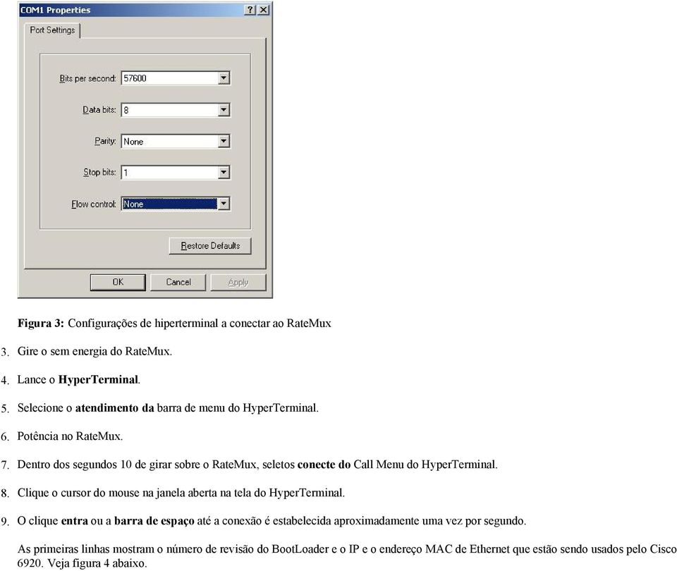 Dentro dos segundos 10 de girar sobre o RateMux, seletos conecte do Call Menu do HyperTerminal.