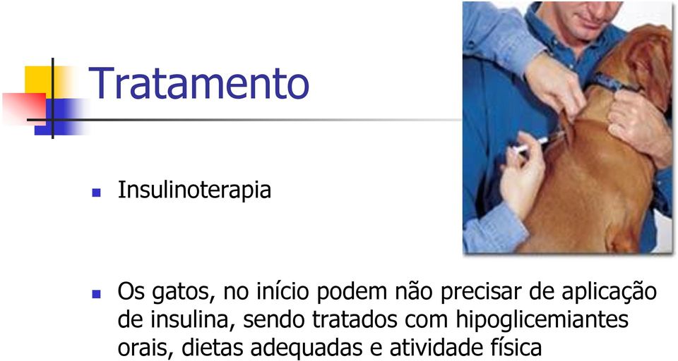 insulina, sendo tratados com