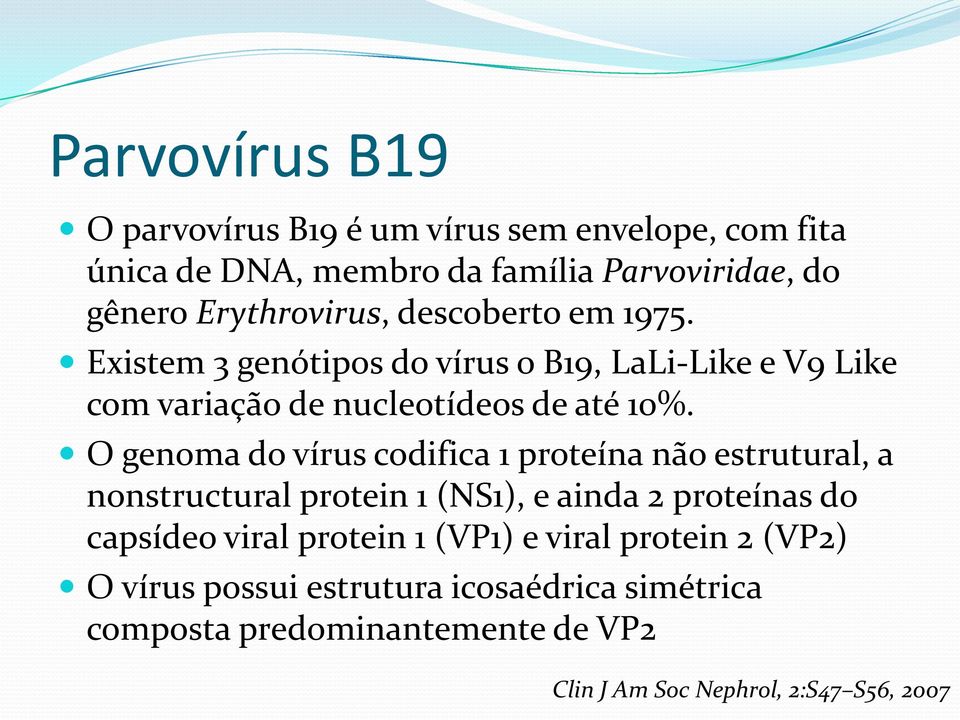 O genoma do vírus codifica 1 proteína não estrutural, a nonstructural protein 1 (NS1), e ainda 2 proteínas do capsídeo viral protein 1