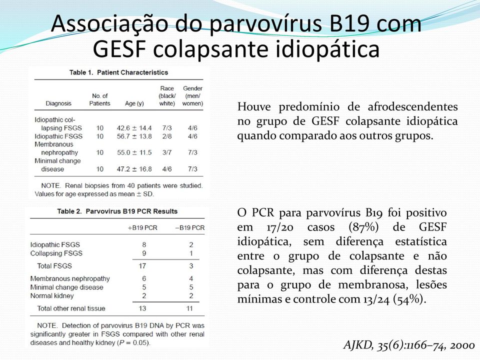 O PCR para parvovírus B19 foi positivo em 17/20 casos (87%) de GESF idiopática, sem diferença estatística entre