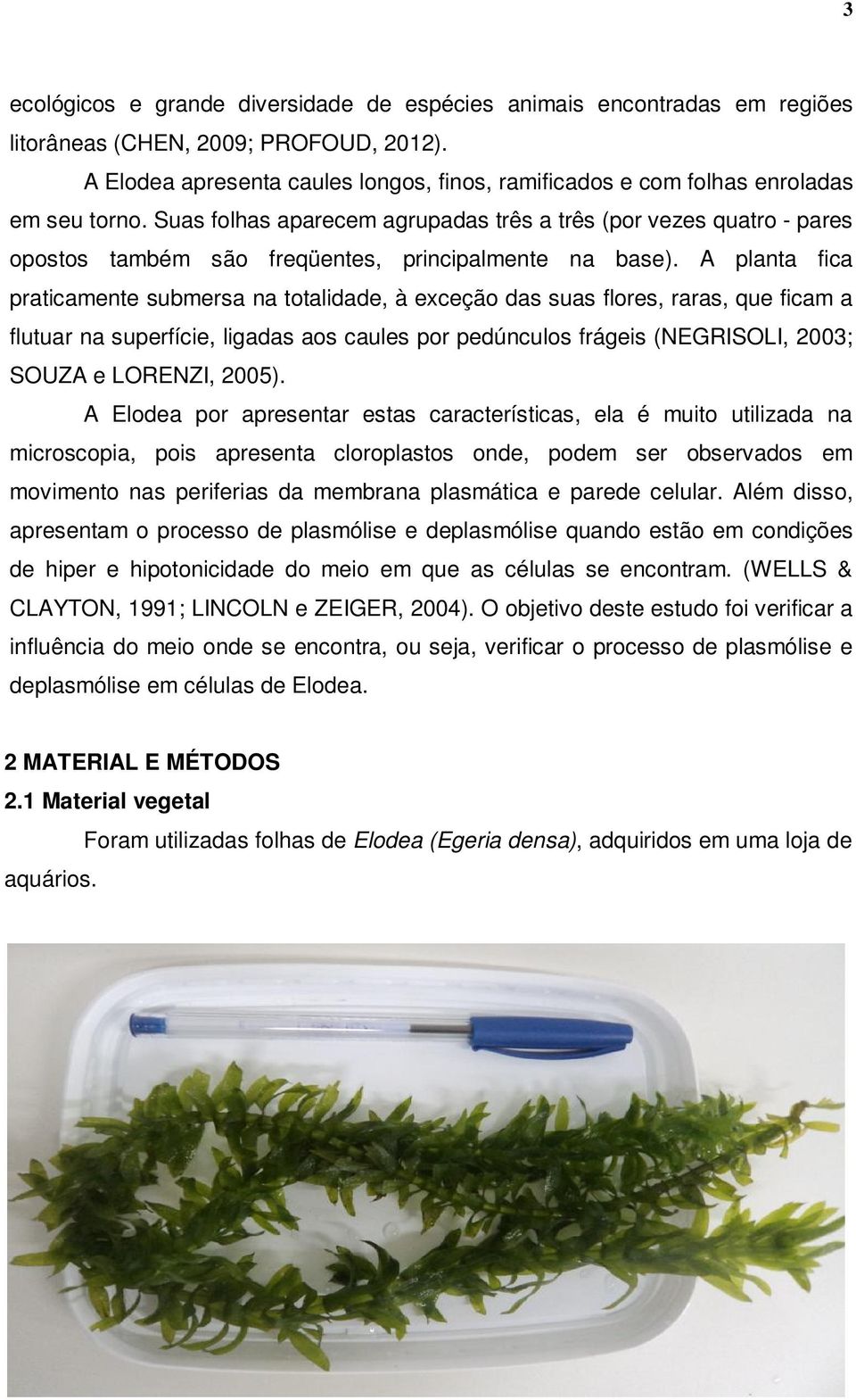 Mudancas No Metabolismo Celular De Egeria Densa Pdf Download Gratis