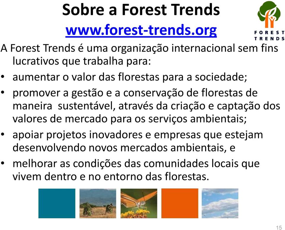 sociedade; promover a gestão e a conservação de florestas de maneira sustentável, através da criação e captação dos valores de