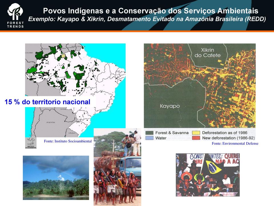 Amazônia Brasileira (REDD) 15 % do territorio nacional