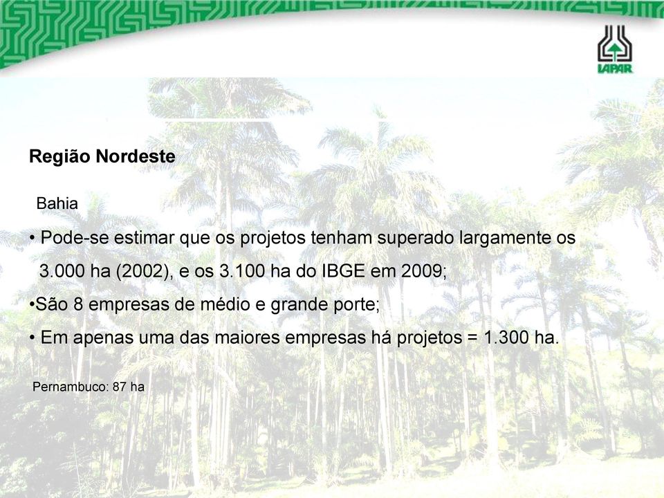 100 ha do IBGE em 2009; São 8 empresas de médio e grande