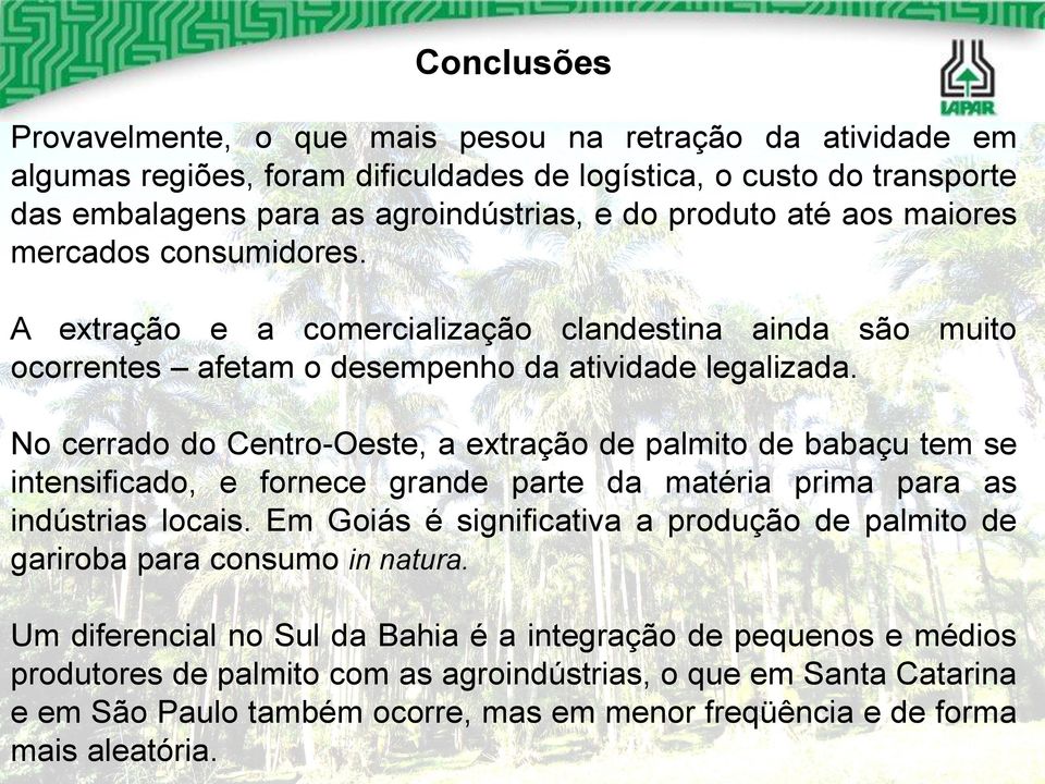 No cerrado do Centro-Oeste, a extração de palmito de babaçu tem se intensificado, e fornece grande parte da matéria prima para as indústrias locais.