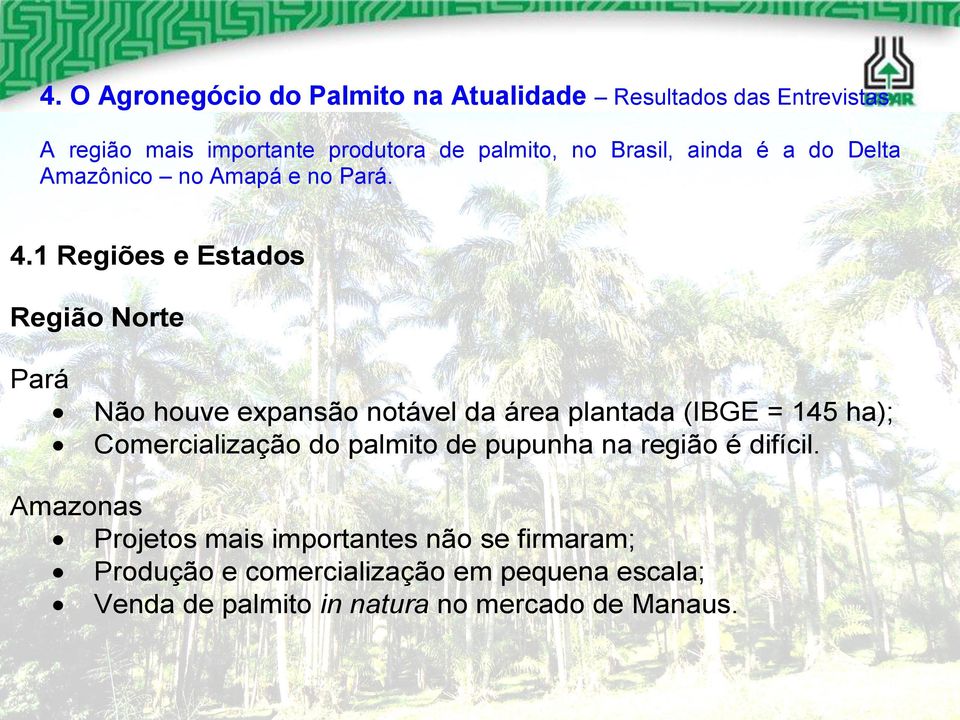 1 Regiões e Estados Região Norte Pará Não houve expansão notável da área plantada (IBGE = 145 ha); Comercialização do