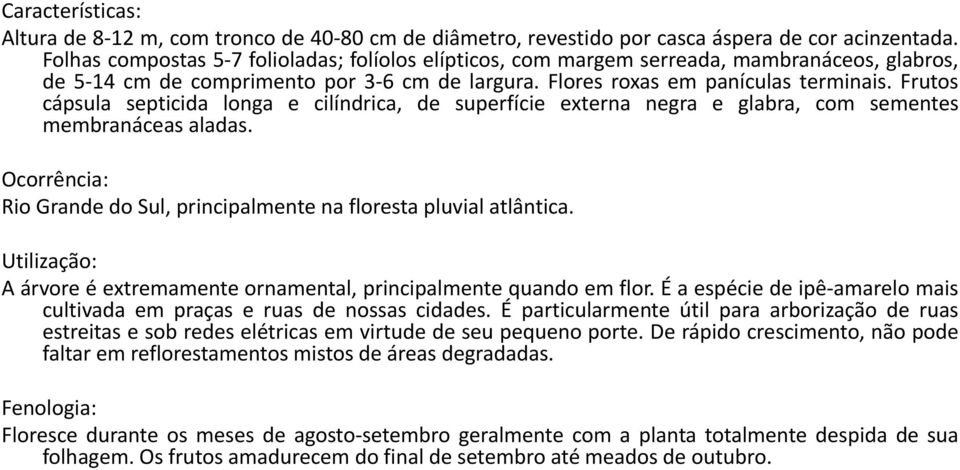 Frutos cápsula septicida longa e cilíndrica, de superfície externa negra e glabra, com sementes membranáceas aladas. Ocorrência: Rio Grande do Sul, principalmente na floresta pluvial atlântica.