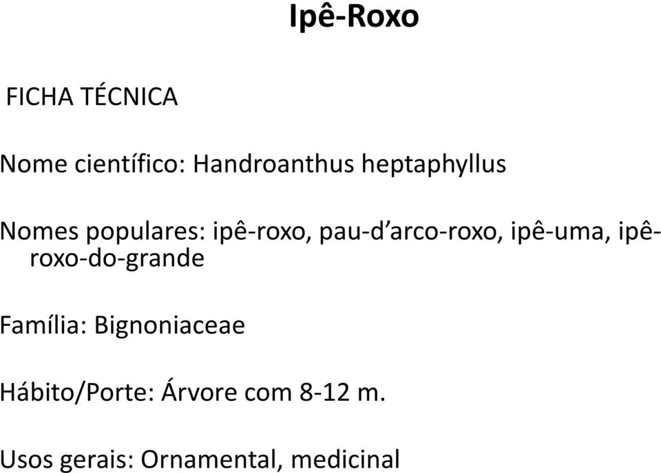 ipê-uma, ipêroxo-do-grande Família: Bignoniaceae