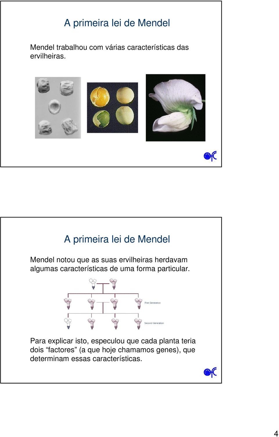 características de uma forma particular.