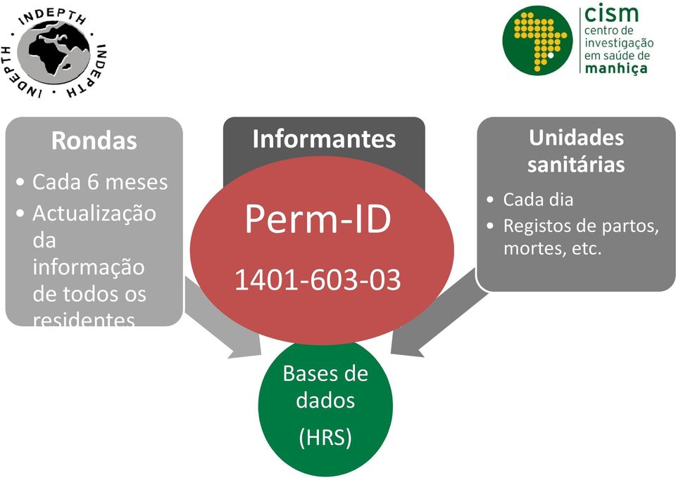 Informantes chave Perm-ID Cada semana 1401-603-03 Bases de