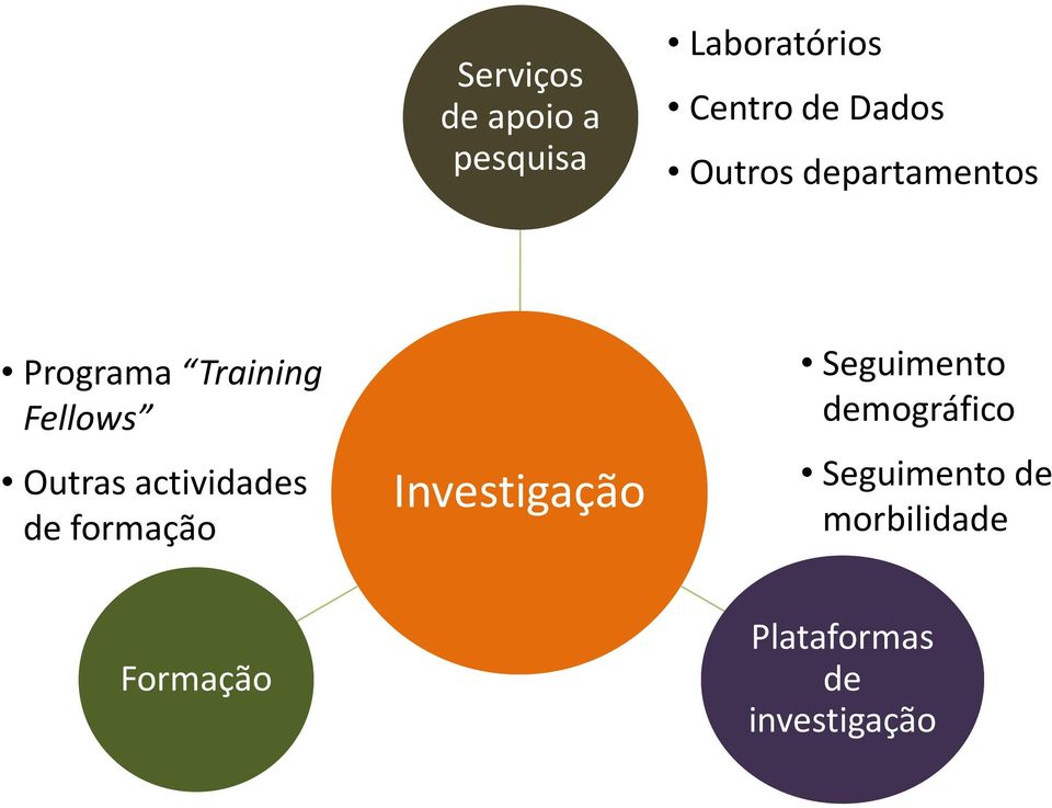 actividades de formação Investigação Seguimento