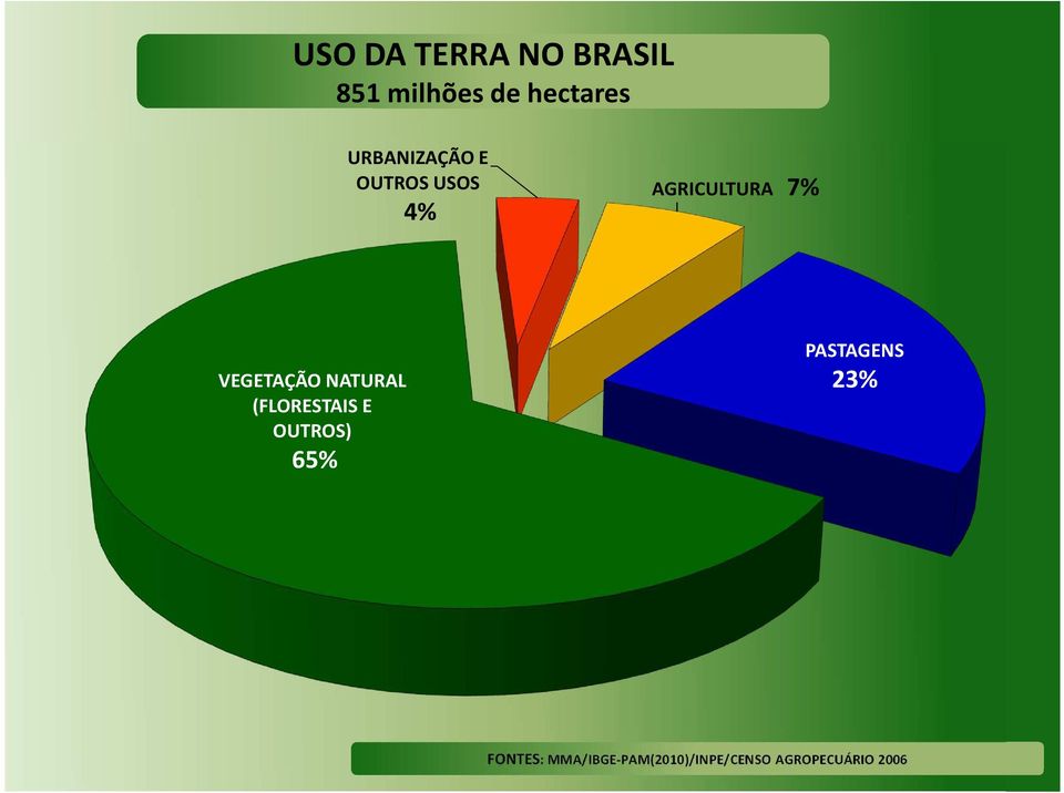 VEGETAÇÃO NATURAL (FLORESTAIS E OUTROS) 65%