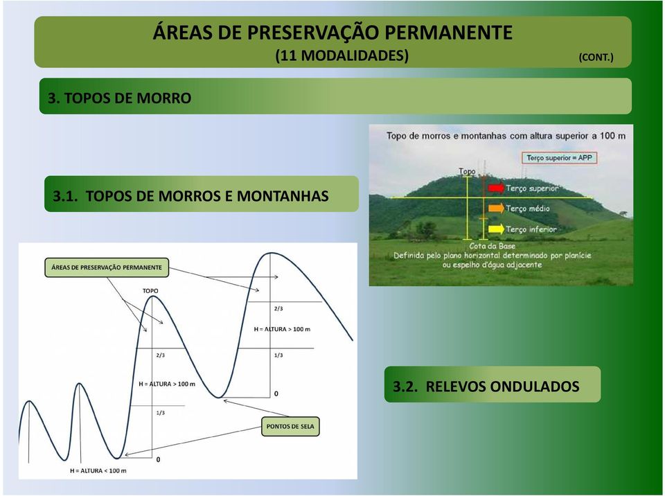 MODALIDADES) (CONT.) 3.1.