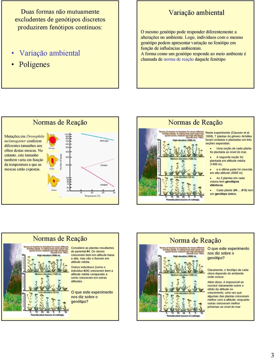 A forma como um genótipo responde ao meio ambiente é chamada de norma de reação daquele fenótipo Mutações em Drosophila melanogaster conferem diferentes tamanhos aos olhos destas moscas.