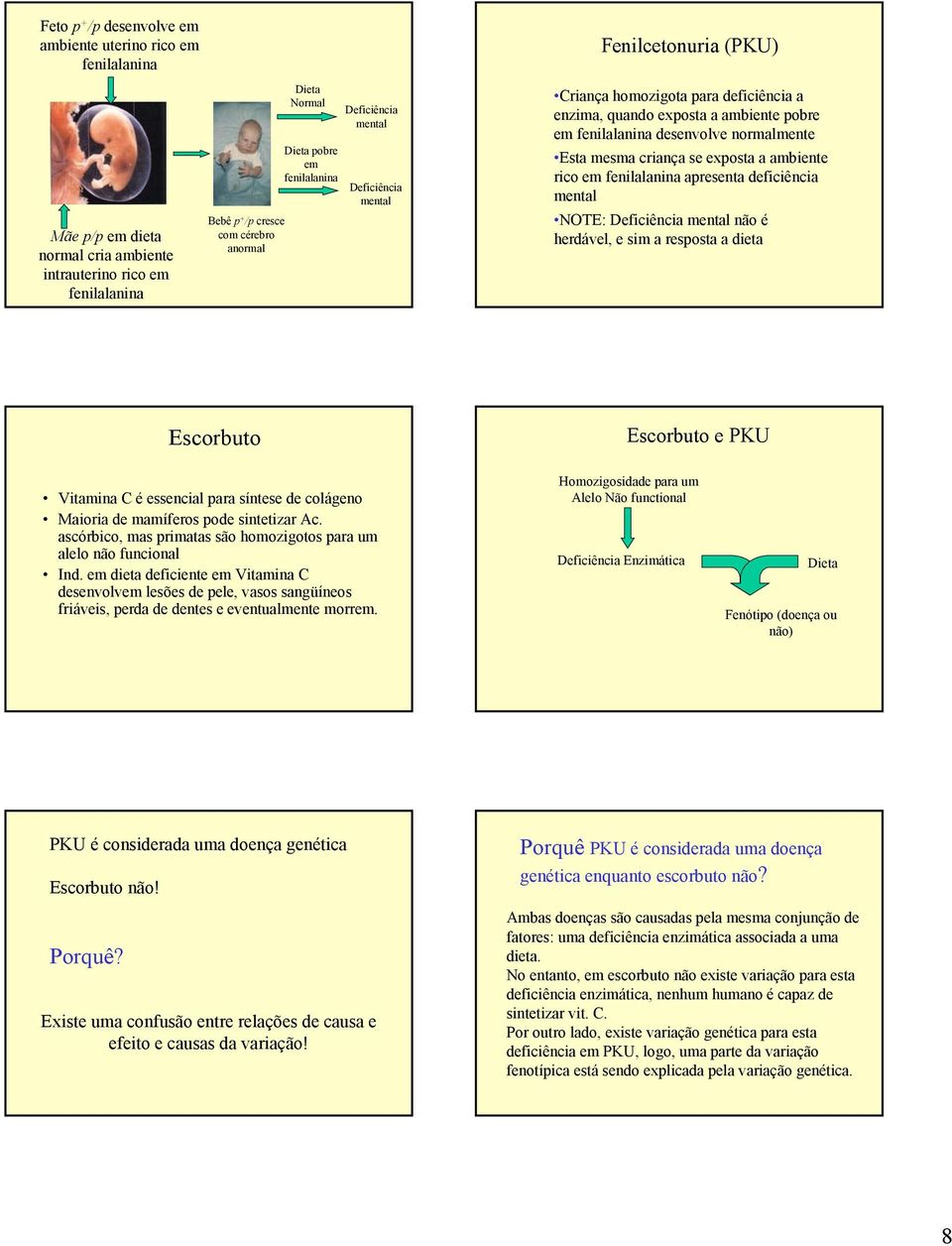 apresenta deficiência mental NOTE: Deficiência mental não é herdável, e sim a resposta a dieta Escorbuto Escorbuto e PKU Vitamina C é essencial para síntese de colágeno Maioria de mamíferos pode