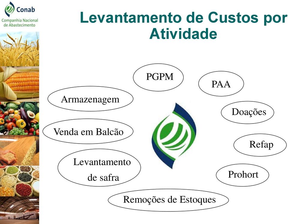 Balcão Levantamento de safra PGPM