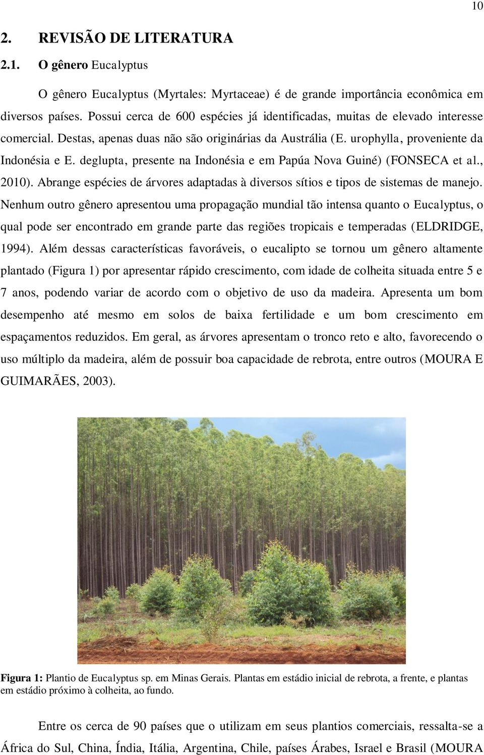 deglupta, presente na Indonésia e em Papúa Nova Guiné) (FONSECA et al., 2010). Abrange espécies de árvores adaptadas à diversos sítios e tipos de sistemas de manejo.