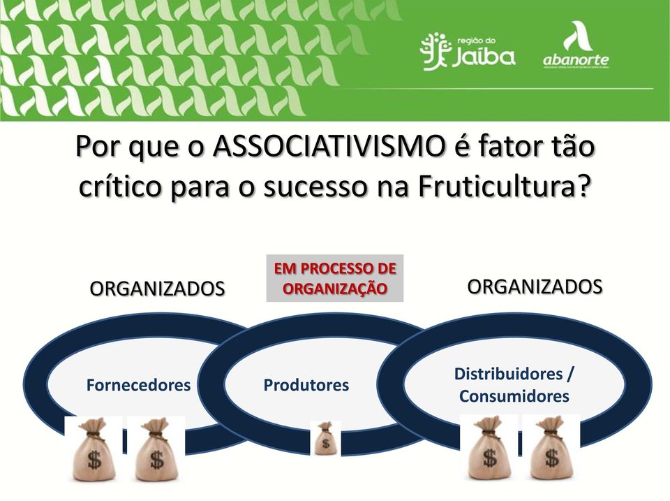 ORGANIZADOS EM PROCESSO DE ORGANIZAÇÃO