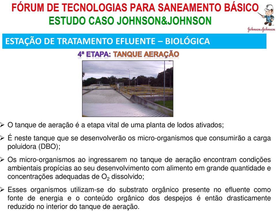 propícias ao seu desenvolvimento com alimento em grande quantidade e concentrações adequadas de O 2 dissolvido; Esses organismos utilizam-se do