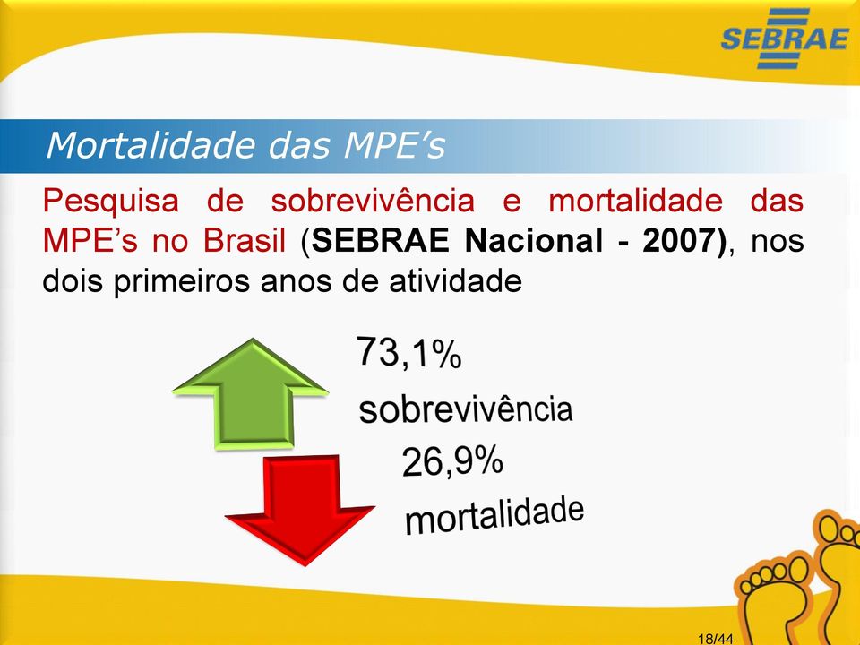 MPE s no Brasil (SEBRAE Nacional -