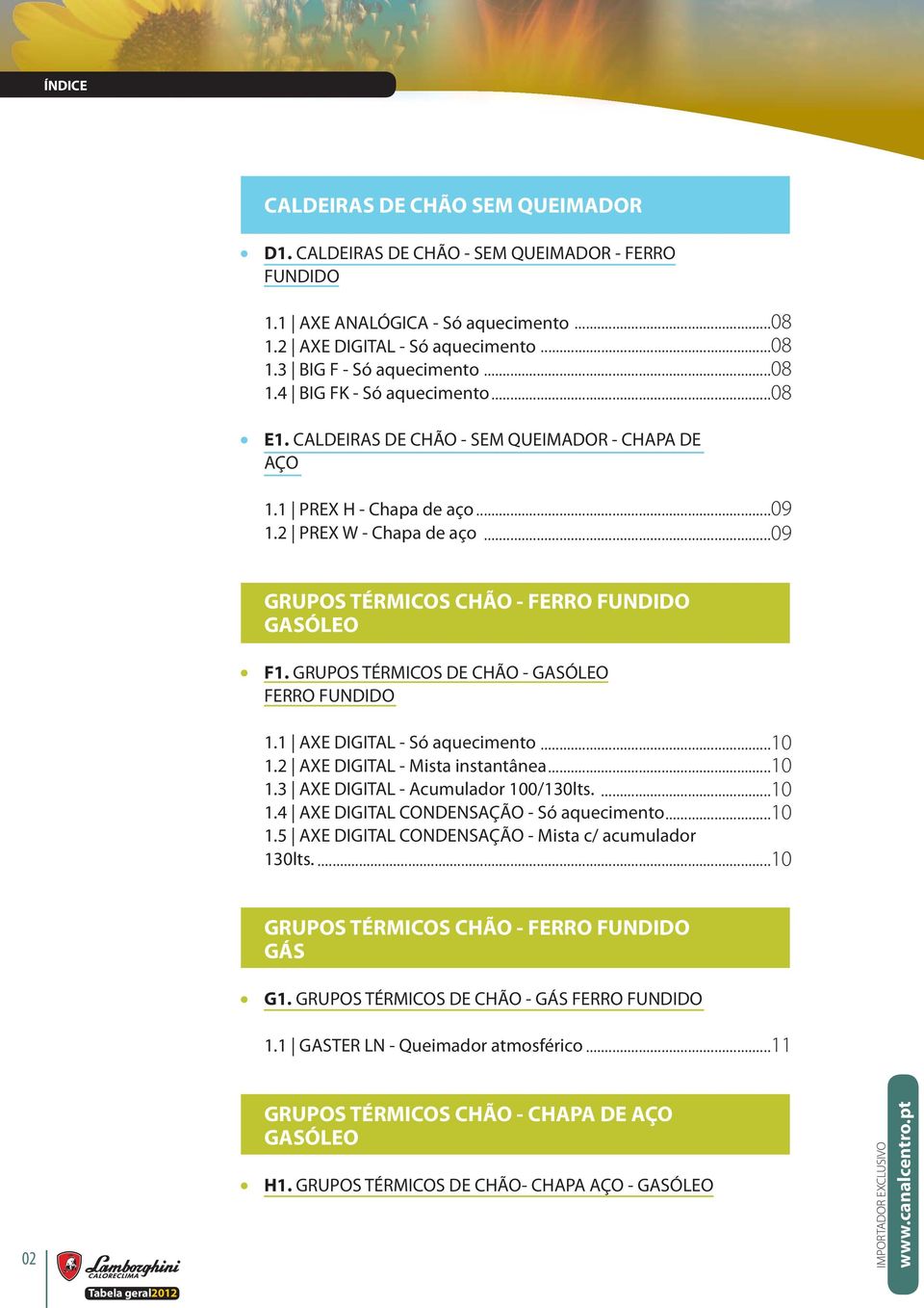 GRUPOS TÉRMICOS DE CHÃO - GASÓLEO FERRO FUNDIDO 1.1 AXE DIGITAL - Só aquecimento...10 1.2 AXE DIGITAL - Mista instantânea...10 1.3 AXE DIGITAL - Acumulador 100/130lts....10 1.4 AXE DIGITAL CONDENSAÇÃO - Só aquecimento.